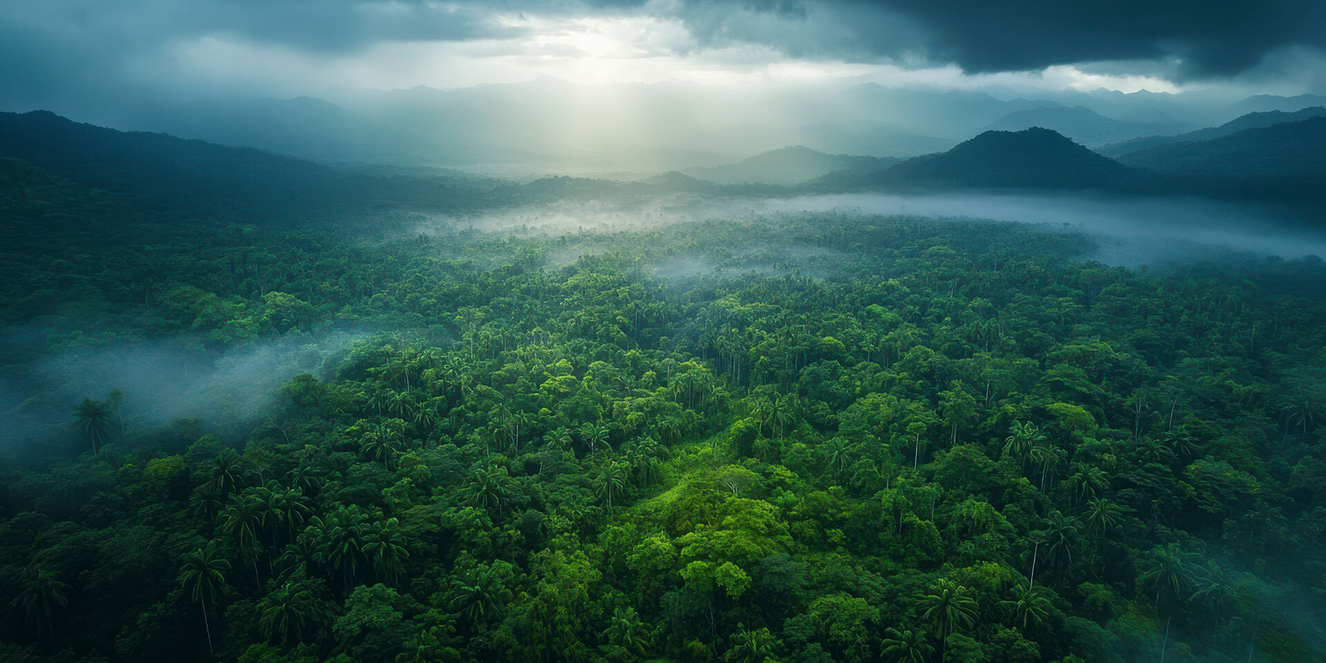 Yala Weather: Your Guide to Planning the Perfect Safari